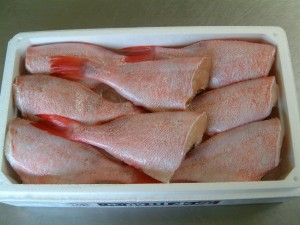 赤魚ウリコトリカット　４K